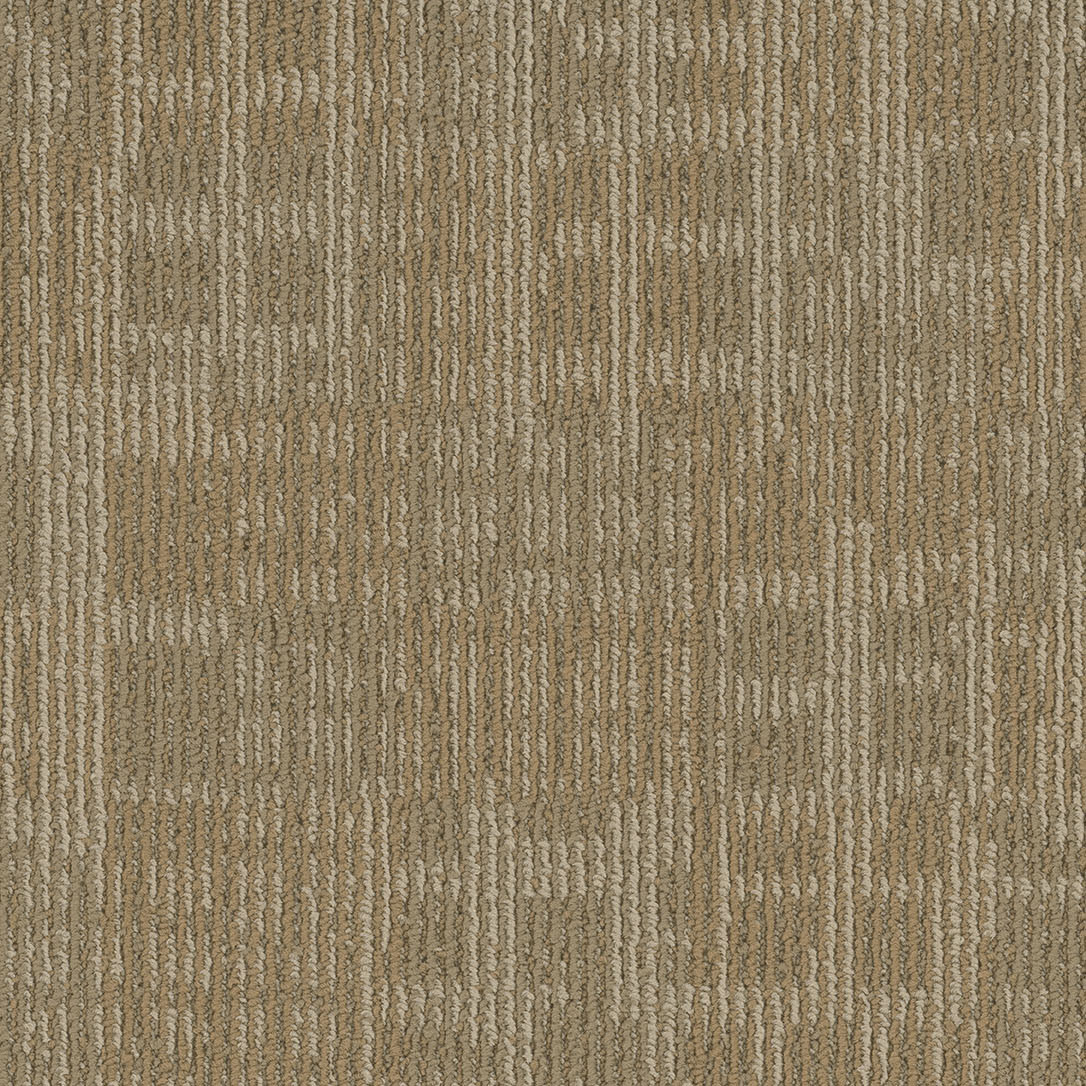 Pentz Techtonic Carpet Tile Cache