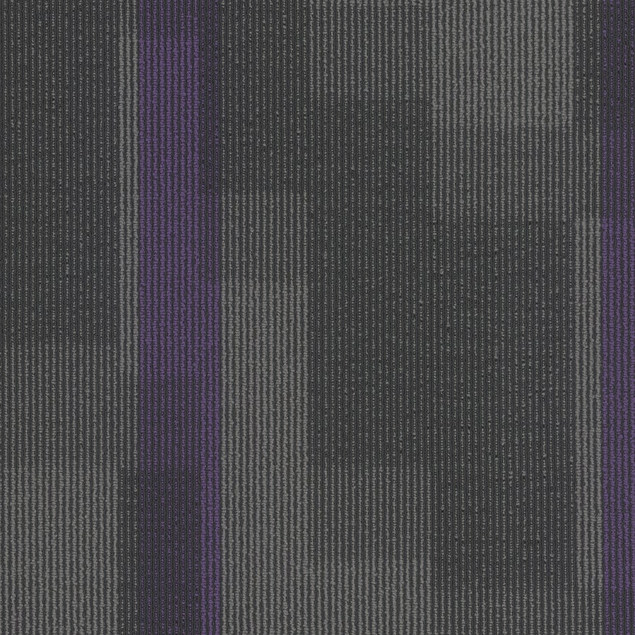 Pentz Magnify Carpet Tile Royal Purple 24" x 24" Premium (72 sq ft/ctn)