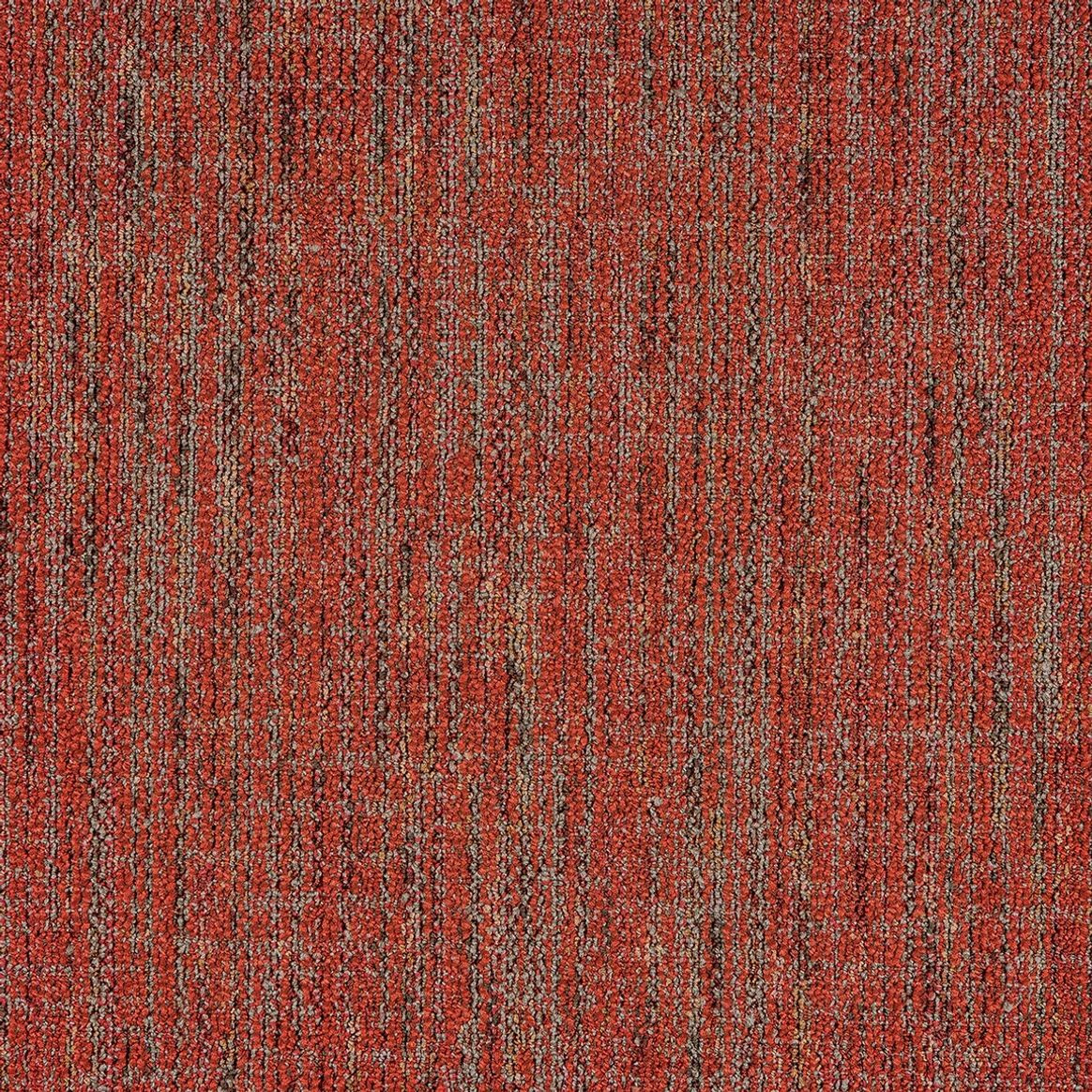 Mannington Commercial Precision Carpet Tile Binomial 24" x 24" Premium