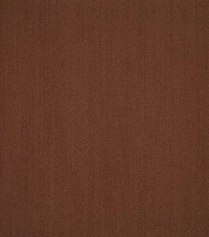 Philadelphia Commercial Color Accents Carpet Tile Chocolate 24" x 24" Premium