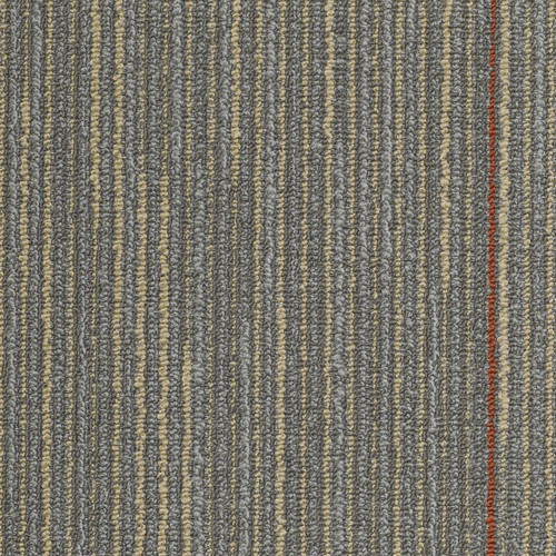 Shaw Vast Carpet Tile Enfold 24" x 24" Premium