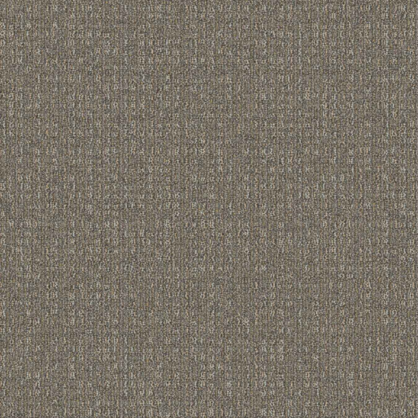 Mohawk Group Adaptable Carpet Tile Fallow 24" x 24"