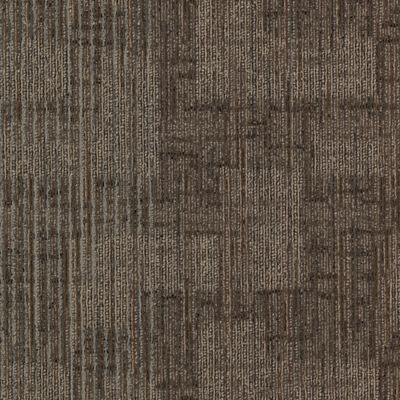 Aladdin Commercial Authentic Format Carpet Tile Individual Twist 24" x 24" Premium