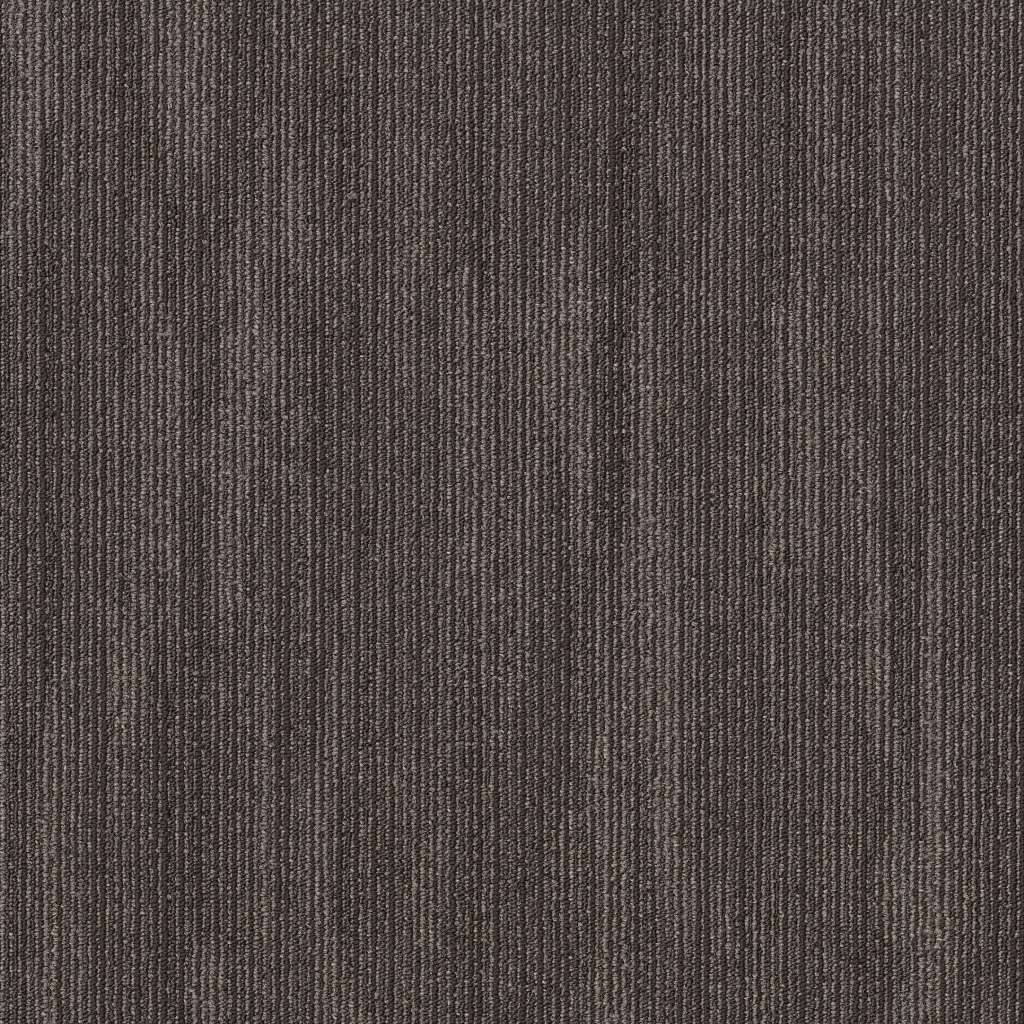 Shaw 5th & Main Primal Carpet Tile 24" x 24" Essential Premium(80 sq ft/ctn)