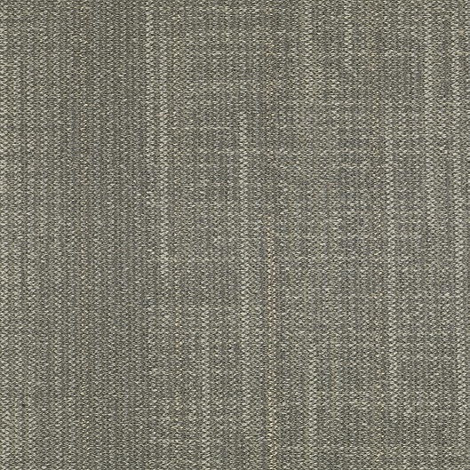 Shaw Haze Carpet Tile Notion 18" x 36" Builder(45 sq ft/ctn)