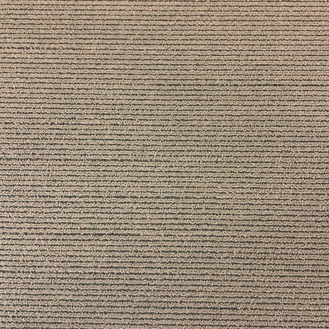 Shaw Nylon Carpet Tile Book Worm 24" x 24" Premium(48 sq ft/ctn)