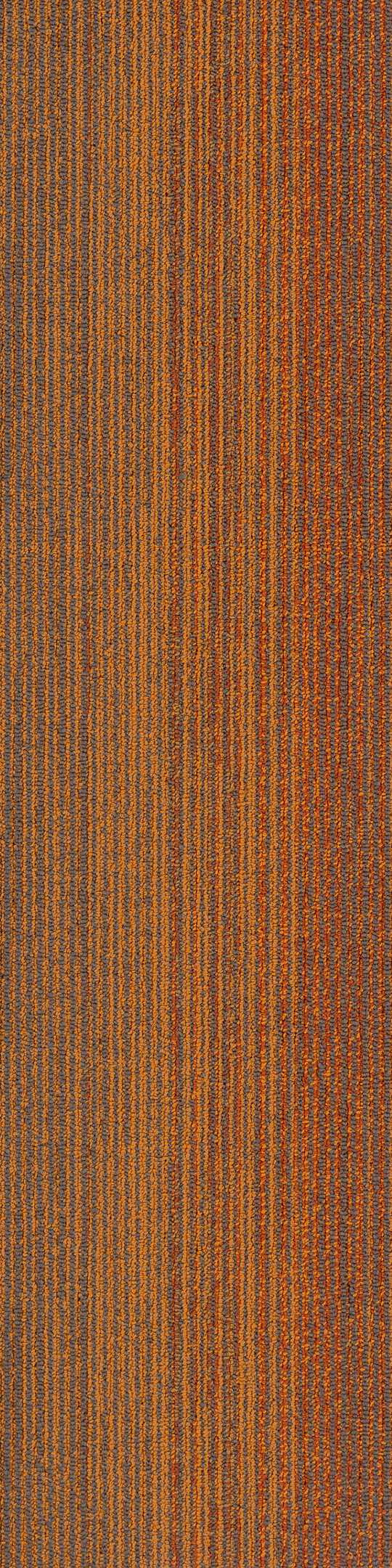 Shaw Saturate Carpet Tile Orange 9" x 36" Premium(45 sq ft/ctn)
