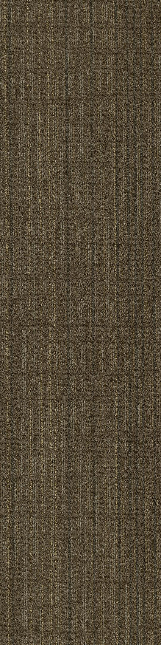 Shaw Aberdeen Carpet Tile Elgol