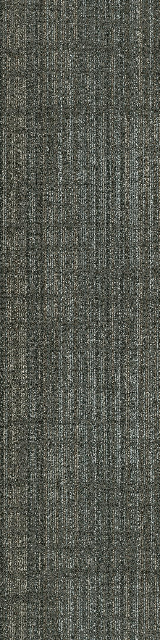 Shaw Aberdeen Carpet Tile Stornoway