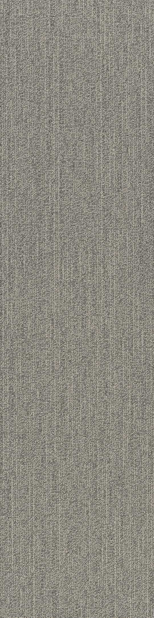 Shaw Advance Carpet Tile Adapt