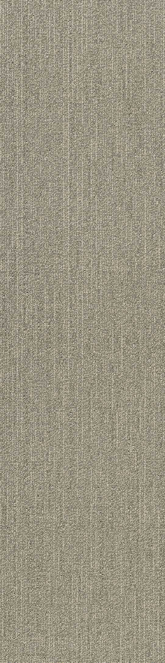 Shaw Advance Carpet Tile Focus