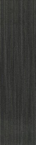Shaw Basic Carpet Tile Raven 9" x 36" Premium