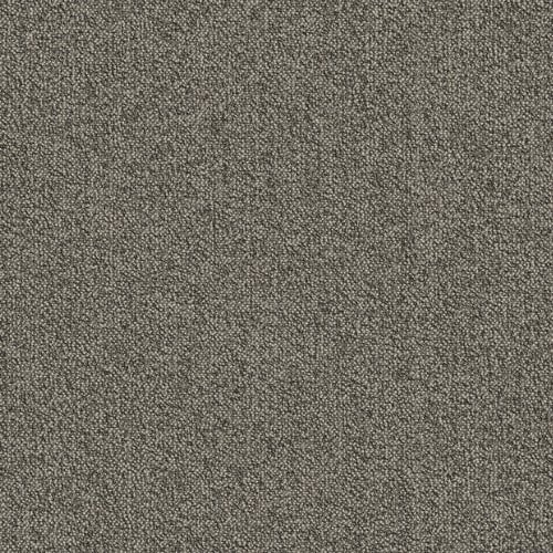 Shaw Belong Carpet Tile Warmth 24" x 24" Premium