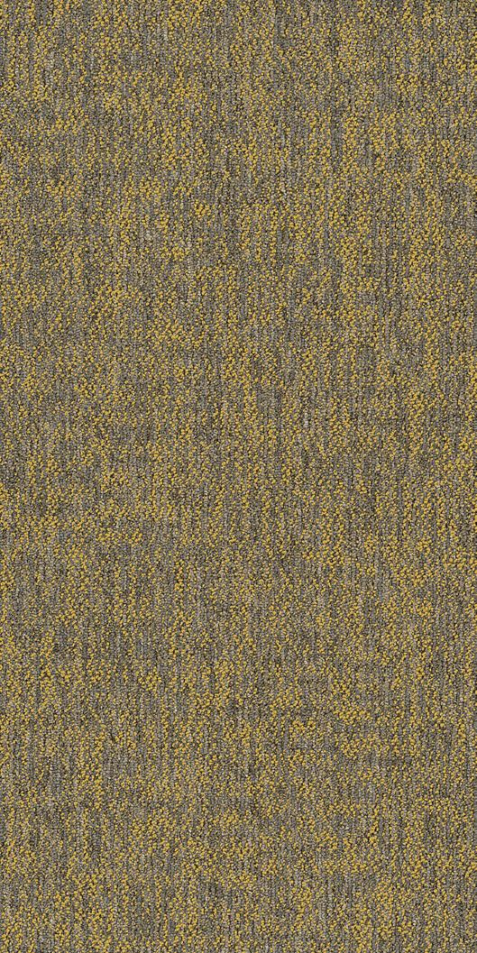 Shaw Crazy Smart Carpet Tile Radiant