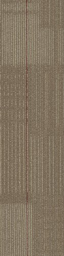 Shaw Diffuse Carpet Tile Annual 9" x 36" Premium
