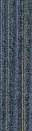 Shaw Disperse Carpet Tile Water Rail 9" x 36" Premium
