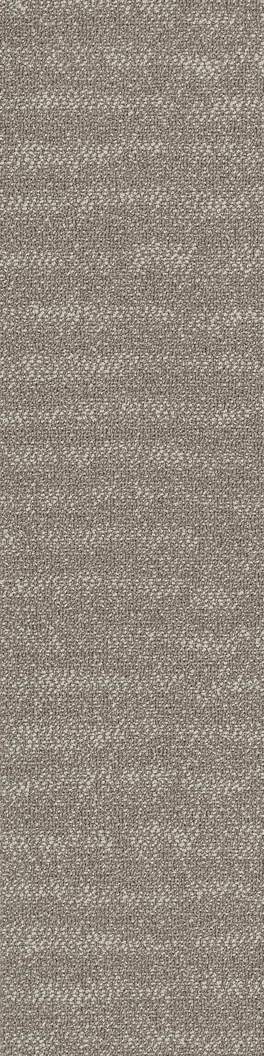 Shaw Gravel II Carpet Tile Branch