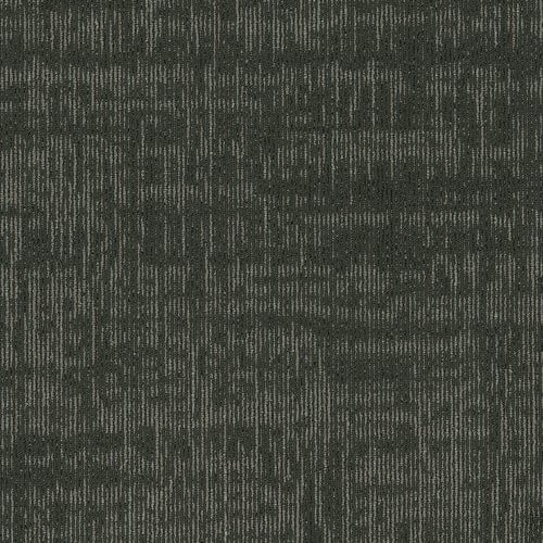 Shaw Intent Carpet Tile Shale 24" x 24" Premium