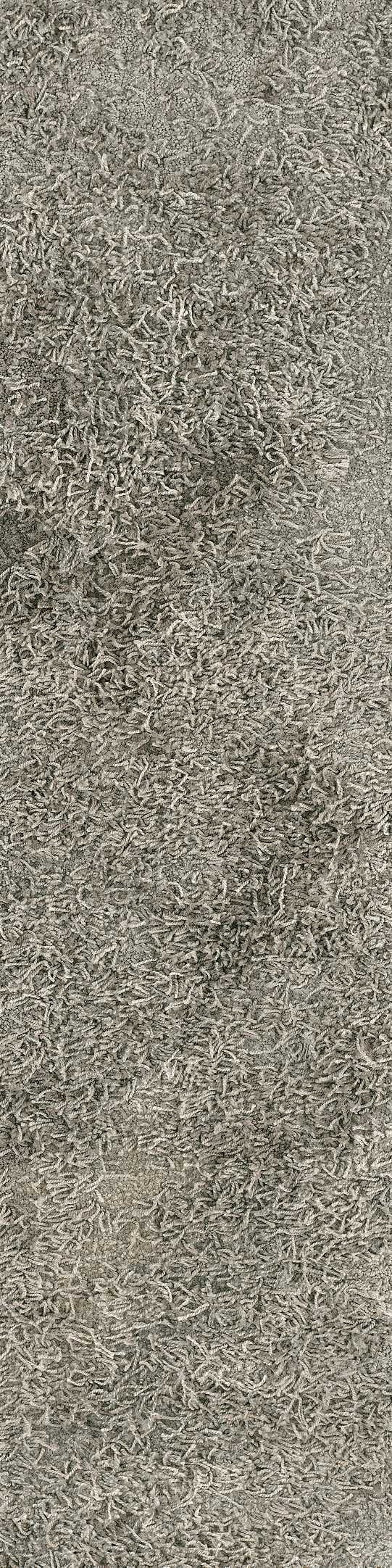 Shaw Primitive Carpet Tile Porous