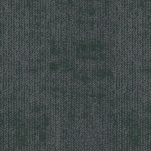 Shaw Source Carpet Tile Forests 9" x 36" Premium