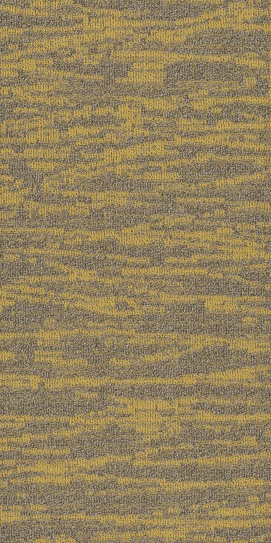 Shaw Tidewater Carpet Tile Monadnock