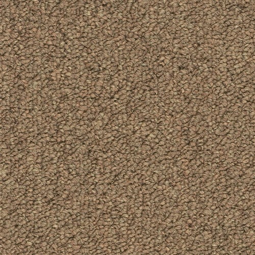 Shaw Momentum IV Carpet Tile Tempo 24" x 24" Premium