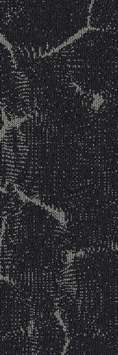 Mannington Commercial Air Too Carpet Tile Thunder Dome 12" x 36" Premium