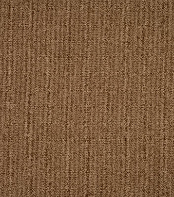 Philadelphia Commercial Color Accents Carpet Tile Tobacco 24" x 24" Premium