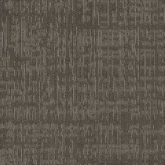 Shaw Intent Carpet Tile Woodsmoke 24" x 24" Builder(80 sq ft/ctn)