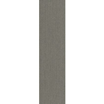 Pentz Colorpoint Plank Carpet Tile Fossil 12" x 48" Premium (56 sq ft/ctn)