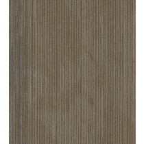 Shaw Declare Carpet Tile Front Page 24" x 24" Premium(80 sq ft/ctn)