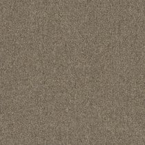 Pentz Diversified Carpet Tile Muddled 24" x 24" Premium (72 sq ft/ctn)