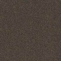 Pentz Diversified Carpet Tile Bizarre 24" x 24" Premium (72 sq ft/ctn)