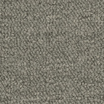 Pentz Essentials Carpet Tile Nitty-Gritty