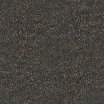 Pentz Premiere Carpet Tile Debut