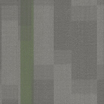 Pentz Amplify Carpet Tile Parrot 24" x 24" Premium (72 sq ft/ctn)