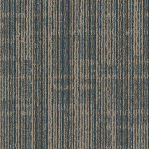 Pentz Hoopla Carpet Tile Racket 