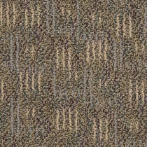 Shaw Connect Carpet Tile Bare Necessities 24" x 24" Premium