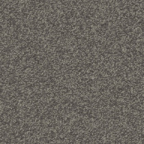 Shaw Gradient Carpet Tile Bird's Eye 24" x 24" Premium