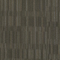 Shaw Primary Carpet Tile Brown Bark 24" x 24" Builder(48 sq ft/ctn)