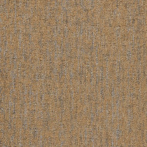 Mannington Commercial Camus Carpet Tile Chanson 24" x 24" Premium (72 sq ft/ctn)