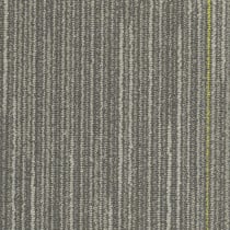 Shaw Vast Carpet Tile Endless 24" x 24" Premium