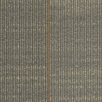 Shaw Infinite Carpet Tile Enfold 24" x 24" Premium