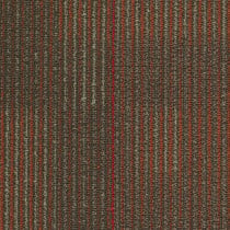 Shaw Tempt Carpet Tile Flirt 24" x 24" Premium