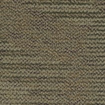 Shaw Kinetic Carpet Tile Gilded 24" x 24" Premium