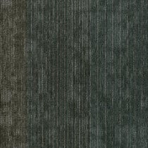 Shaw Contract Tribunal Carpet Tile Glassy Green 24" x 24" Premium(80 sq ft/ctn)