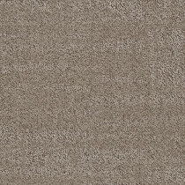 Shaw Memory Carpet Tile Greige 24" x 24" Builder(48 sq ft/ctn)