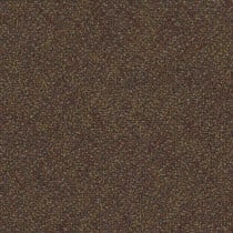 Shaw Charisma Carpet Tile Inferno 24" x 24" Premium