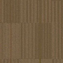 Mohawk Group Venturesome QS Carpet Tile Living Fast 24" x 24"