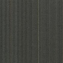 Shaw Disperse Carpet Tile Movement 24" x 24" Premium(48 sq ft/ctn)